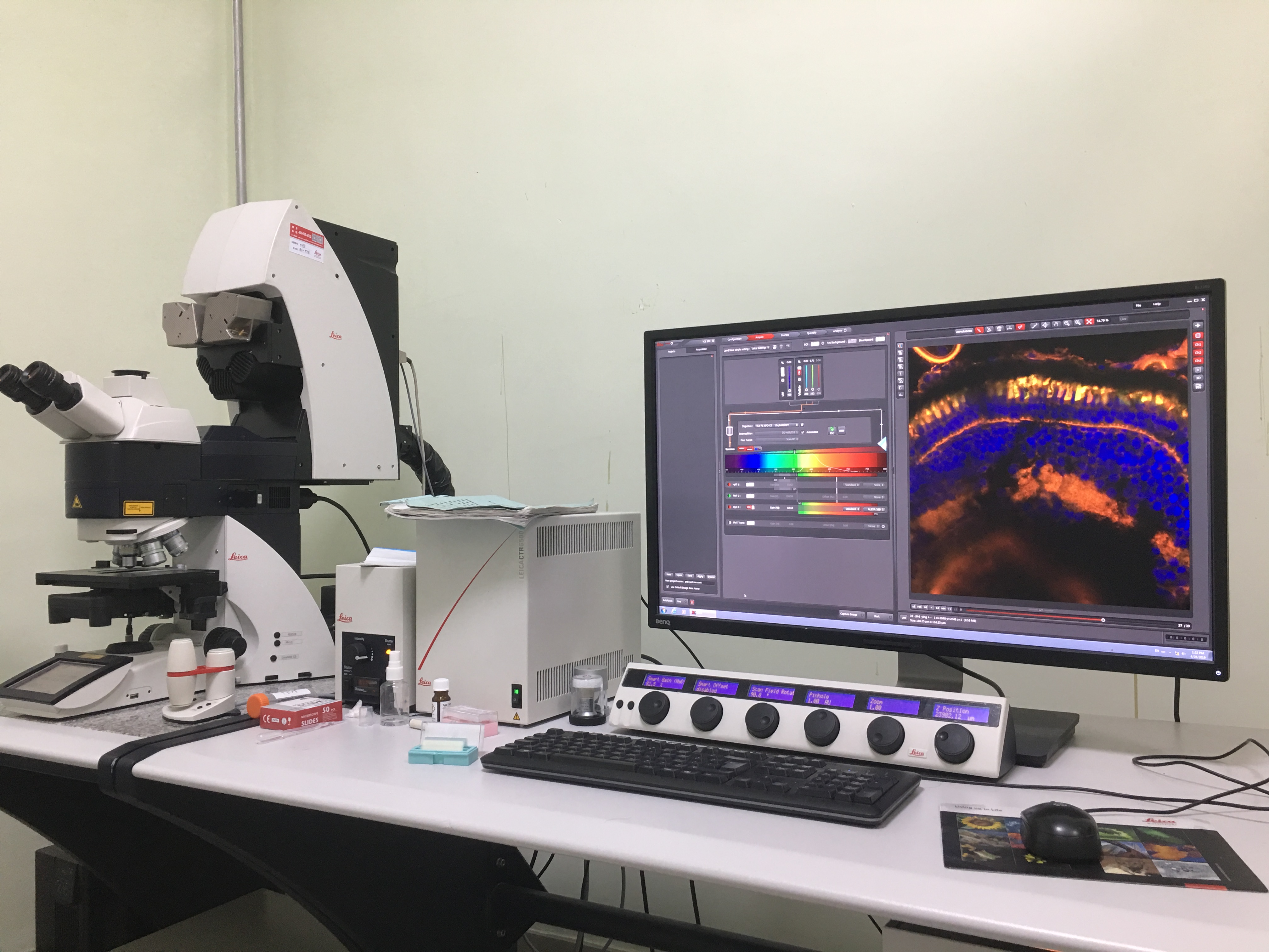 聚焦转会市场热点追踪与潜在交易内幕爆料