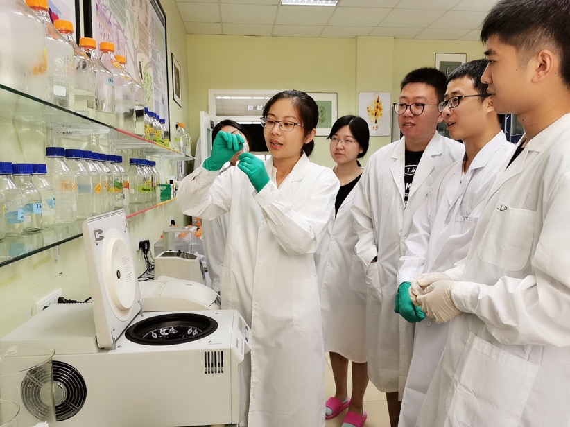 进化所原生动物学研究室高凤副教授获2019年国家自然科学基金优青项目